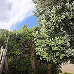 Amaresardegna12 Con Vista Mare Prázdninový dům *