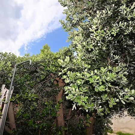 Amaresardegna12 Con Vista Mare Hébergement de vacances *